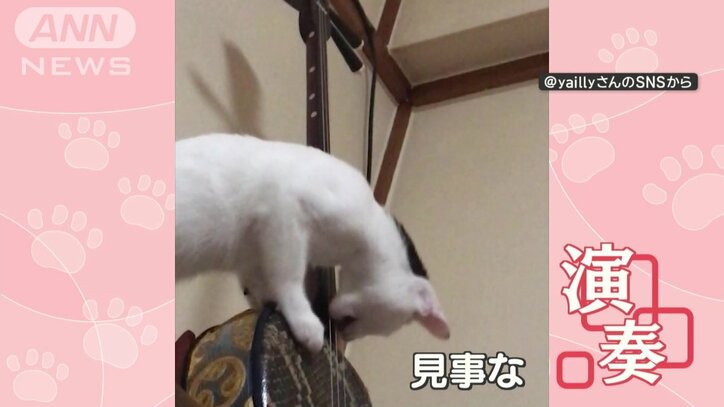 見事な演奏
