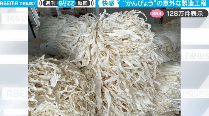 【写真・画像】「かんぴょう」の意外過ぎる製造工程を映した動画に驚愕の声!「元はこんな大きな木の実なんだ」 2枚目