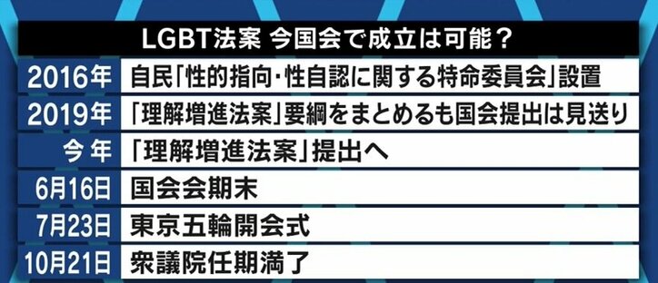 自民党が成立目指す「LGBT理解増進法案」、“差別禁止”の規定は盛り込むべき?当事者や関係者でも割れる意見