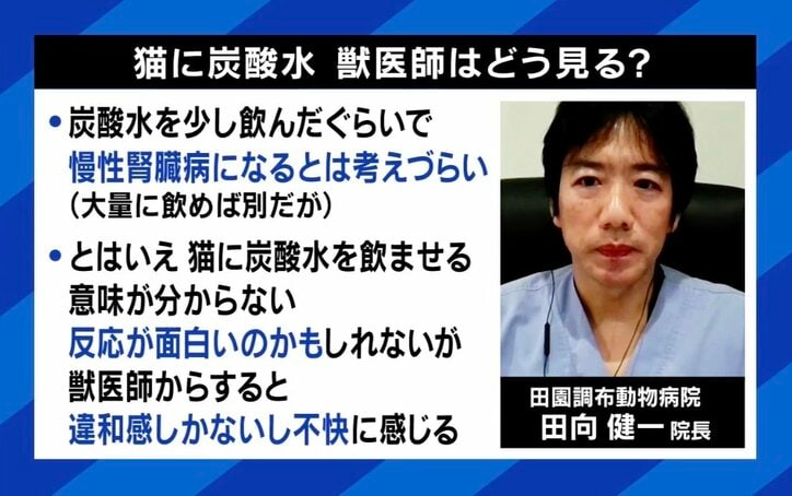 獣医師はどう見る？