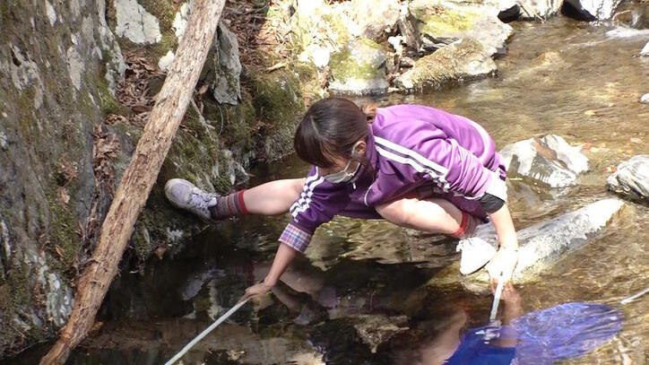 元AKB48・西野未姫、突然の土下座? トイレ我慢で体重キープも…『ヤバいバル』美女10人サバイバルの結末!