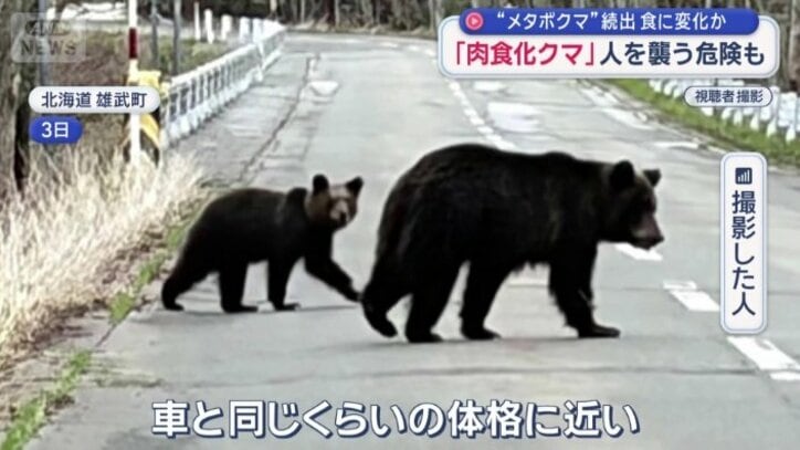 道路を横切る姿が…