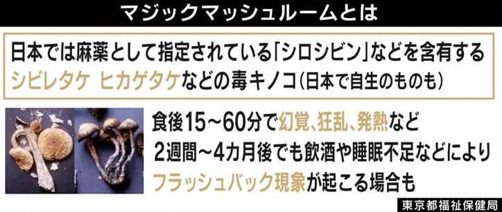 「いい幻覚で自分の考え方を変えるような何かがあるかも」豪政府が"幻覚キノコ"をうつ病患者に処方承認 リスクと効果を考える