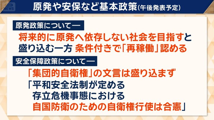 原発や安保など基本政策