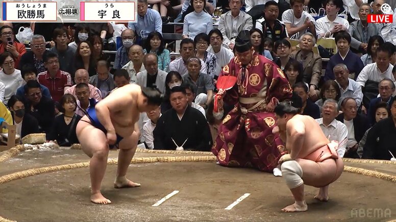「めっちゃ目立つ」大相撲、溜まり席に存在感“ハンパない”男性著名人の姿 「視線が鋭い」ファン驚き