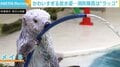 放水姿が「悪魔のような可愛さ」 消防隊長は“ラッコ” 地元の消防本部から氷の感謝状も