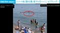 海水浴客に迫る巨大な黒い影…水面に突き出た“ヒレ”に現場は騒然→波打ち際に現れたまさかの正体 スペイン