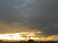 石田あゆみ『電話診療をしてもらいました。』