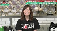 松井珠理奈の告白にファン騒然
