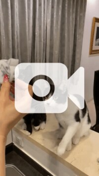 藤あや子『さすが双子♪』