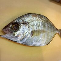 大和田美帆『2020/08/12』