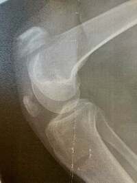 LiLiCo『❤️祝❤️』