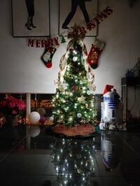 松本志のぶ『クリスマスの準備』