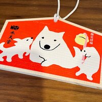 小泉貴之『気持ちを込めて書きました』