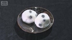 正月近づきモチ高騰　名物大福や縁起物も値上げ【詳細版】