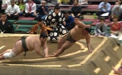 力士が土俵下に頭から落下 あわやの場面を“すごい受け身”で危機回避 驚異の身体能力に「すごい身のこなし」反響