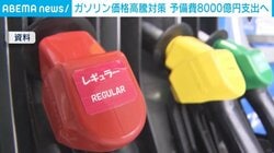 ガソリン価格高騰対策 予備費8000億円支出へ