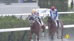 「G1を勝ったみたい、うれしい」5カ月ぶり白星に“らしさ全開”のガッツポーズ…ミルコ・デムーロ騎手が復帰後初勝利　