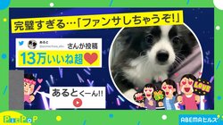 カメラに「ちゅっ！」 完璧な“ファンサ”をしてくれるイヌに「幸せホルモンが沢山出た」と歓喜の声