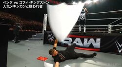 「これはひどいw」「グラサン割れた」衝撃の“とばっちり”事故発生にファン騒然 リングサイドでの一コマ