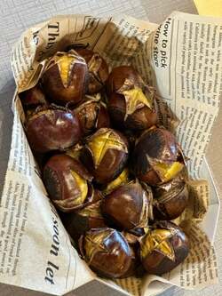  研ナオコ、義姉から貰った手間ひまかかった手作り品「お店の売り物みたい」「美味しそう」の声 