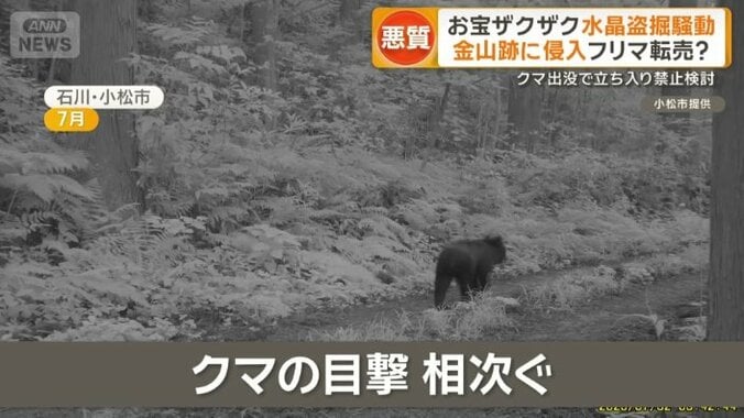 クマの目撃相次ぐ