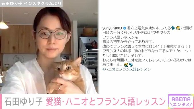 石田ゆり子、猫のハニオとのフランス語レッスンの様子を公開「本当に難しい!!」 1枚目