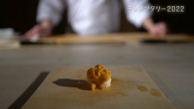 北海道の最高級ブランド「昆布森のウニ」が赤潮で窮地に…“ウニ一筋50年”の漁師の嘆き 1枚目