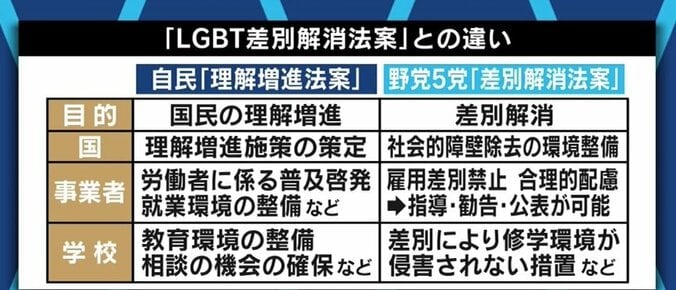 自民党が成立目指す「LGBT理解増進法案」、“差別禁止”の規定は盛り込むべき？当事者や関係者でも割れる意見 1枚目