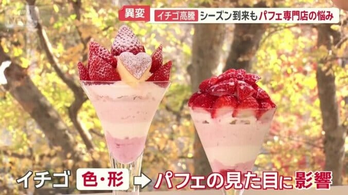 不ぞろいなイチゴでは代用することが難しい