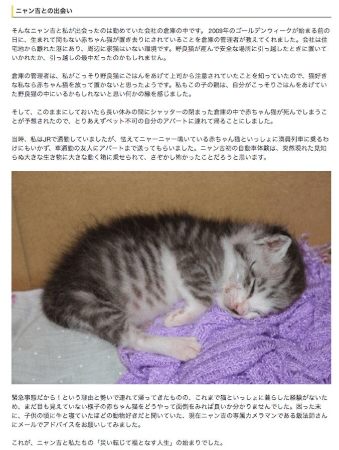 倉庫に捨てられていた野良が“パトロール猫”になるまで  誕生秘話に心温まる 2枚目