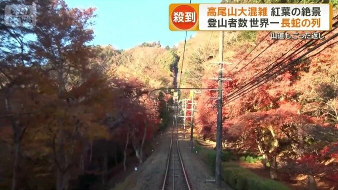 “紅葉のトンネル”