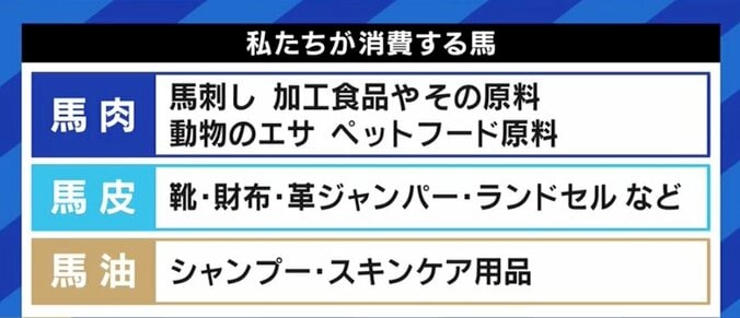 「走れなくなっただけでお肉にしてしまうのはもったいない」馬刺し・家畜の餌になるケースも…競走馬、年間1万頭の“余生”を考える 12枚目