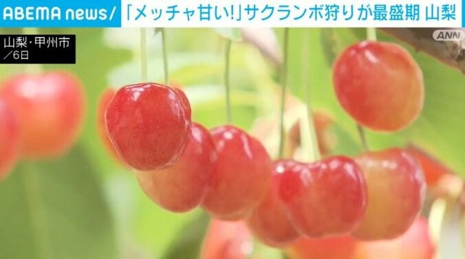 山梨・甲州市