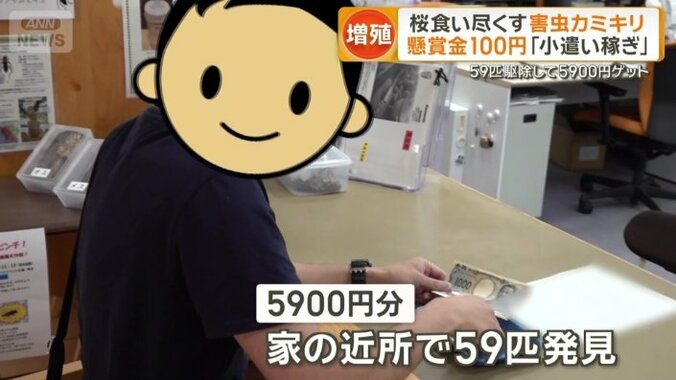 5900円分の59匹発見した人も