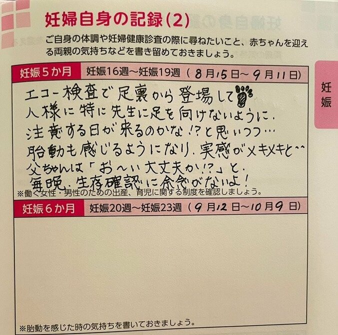 だいたひかる、母子手帳の中身を公開「人生で一番緊張した気が」 1枚目