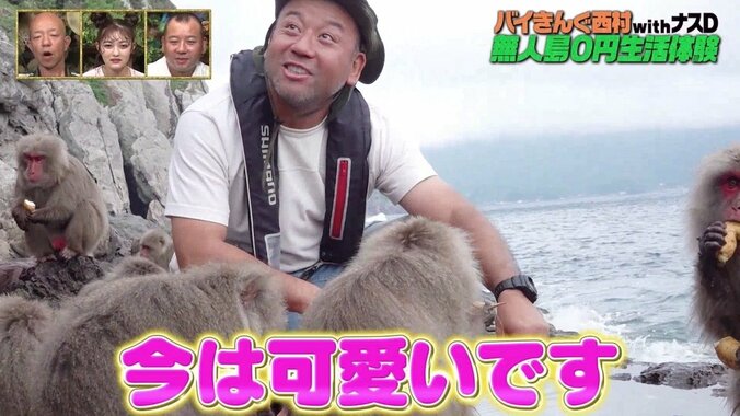 野生の猿、バイきんぐ西村に襲いかかる　無人島0円生活でボス争いが激化？ 2枚目