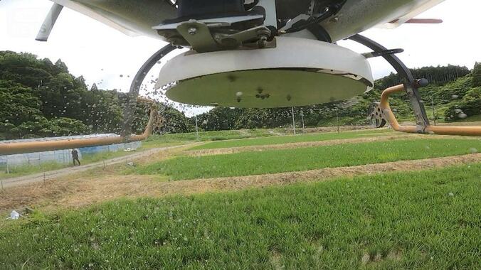 古米より新米の方が安い？　沖縄では「超超早場米」の収穫開始　関東の生育も順調 1枚目