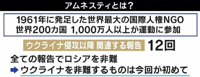 世界最大の人権団体がウクライナ軍を非難…テレ朝・平石アナ「大きな悪の中に小さな悪が存在する可能性もある」 2枚目