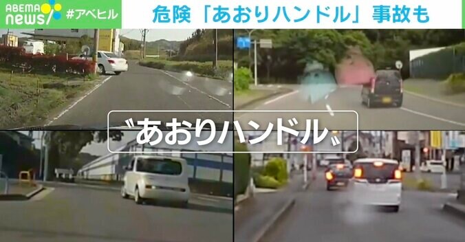 逆走してからの左折？予測不能な“あおりハンドル”にSNSで非難の声殺到 1枚目