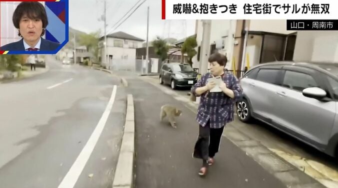 山口県・周南市