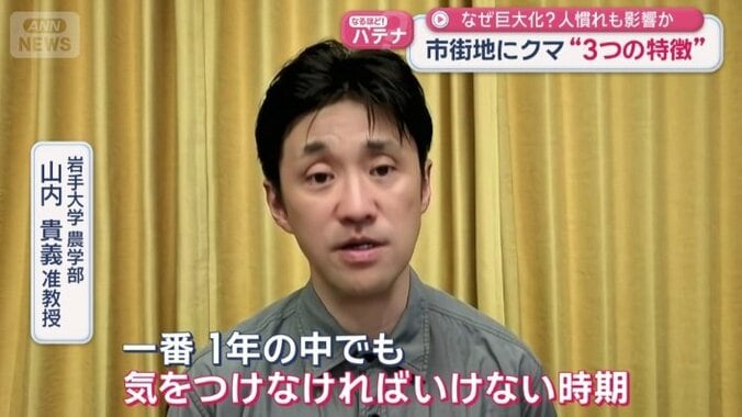 岩手大学　山内貴義准教授