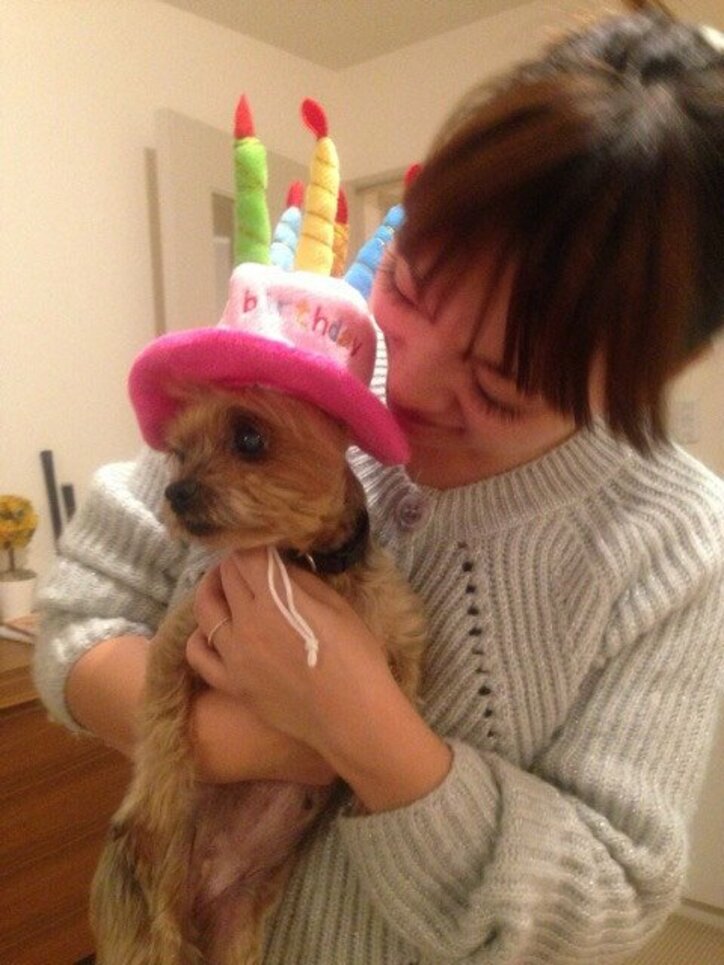 保田圭が15歳10ヶ月の愛犬 ヨークシャテリアのティアラとのお別れを報告 話題 Abema Times