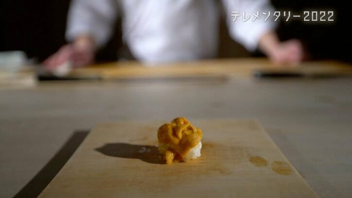 北海道の最高級ブランド「昆布森のウニ」が赤潮で窮地に…“ウニ一筋50年”の漁師の嘆き