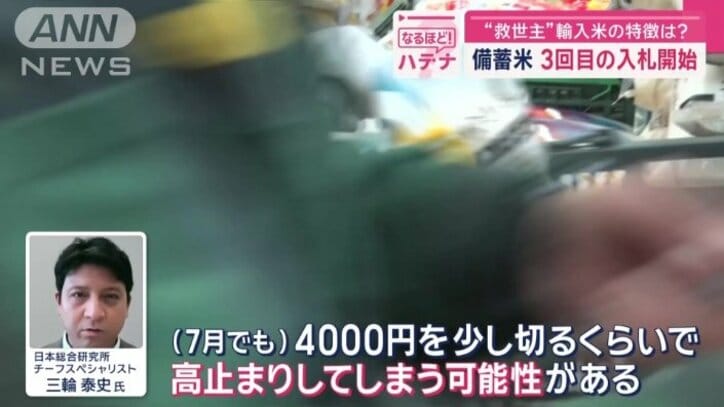 日本総合研究所 チーフスペシャリスト三輪泰史氏