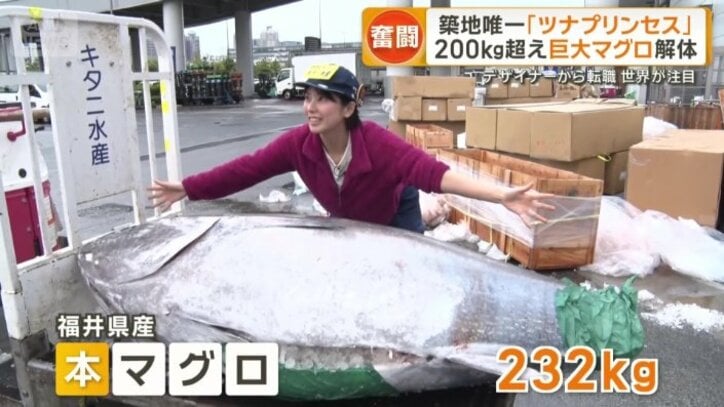 230キロを超える福井県産の本マグロ