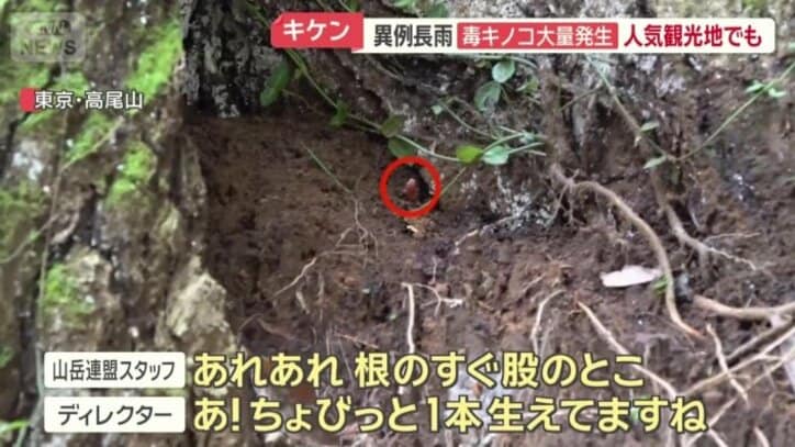 東京・高尾山でも…