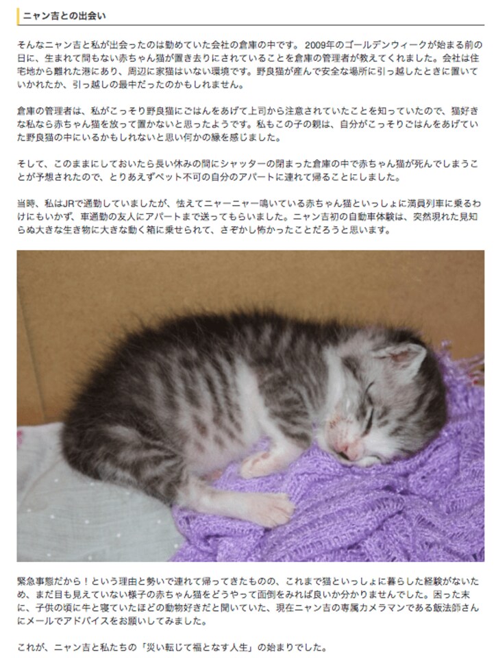 倉庫に捨てられていた野良が“パトロール猫”になるまで  誕生秘話に心温まる