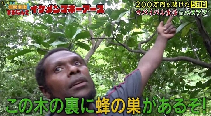 『仮面ライダー』出演のイケメン俳優、訴訟を検討していた「蜂に3カ所も刺されて…」