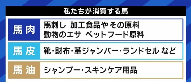 走れなくなっただけでお肉にしてしまうのはもったいない 馬刺し 家畜の餌になるケースも 競走馬 年間1万頭の 余生 を考える 政治 Abema Times